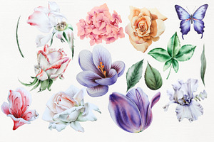 Watercolor Flowers.