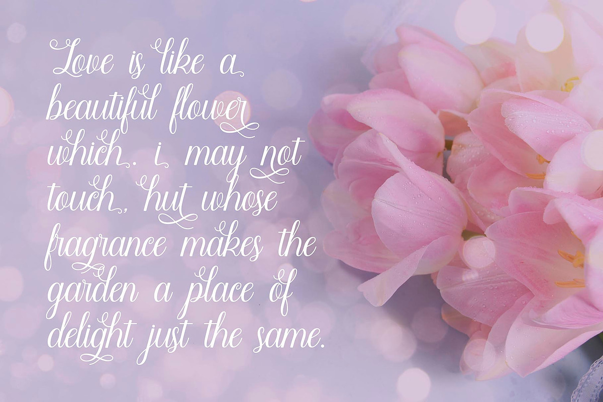 Angella Beauty Srcipt Font, a Script Font by Graphicxell (Photo 3 of 10)