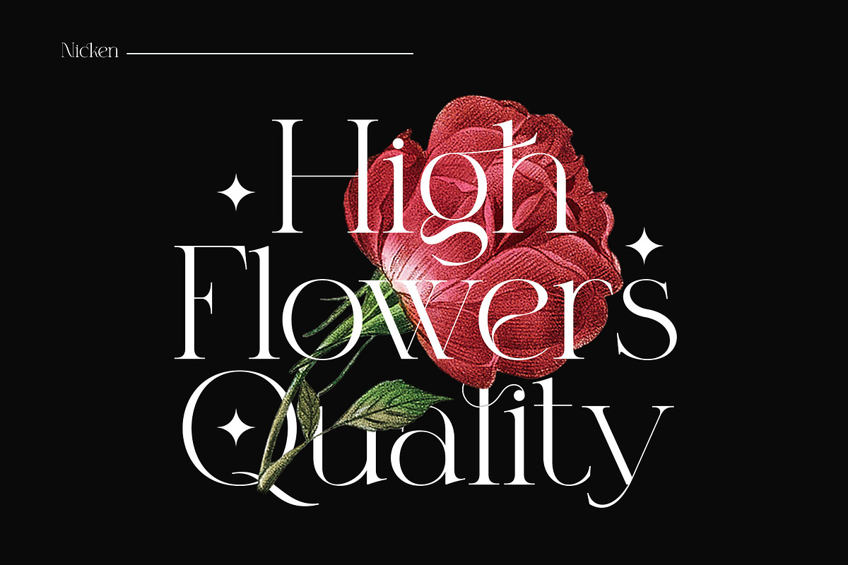 Nicken Modern Serif Typeface, a Serif Font by Alfinart (Photo 3 of 10)