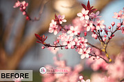 53 Sunflares Photoshop Overlays, a Layer Style Add-On by The Bell Sisters (Thumbnail 5 of 9)