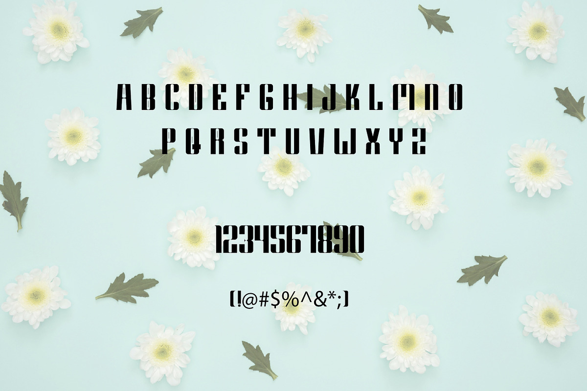 Moliva | Modern Sans Serif Font, a Sans Serif Font by Artdez (Photo 3 of 3)