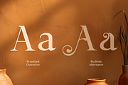 Bornatte Modern Ornament Serif Font, a Serif Font by Rasio Studio (Thumbnail 3 of 10)