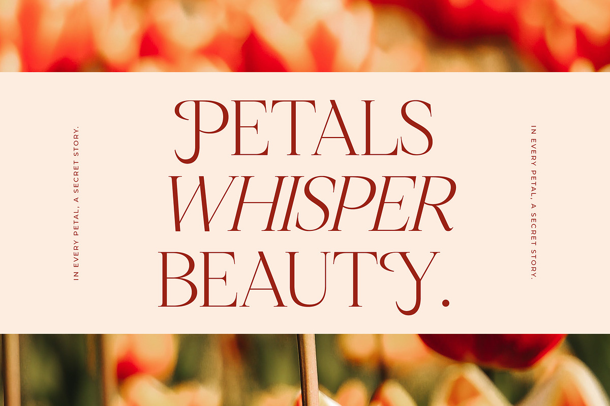 Nagista Modern Serif Font, a Serif Font by Letterena Studios (Photo 2 of 15)