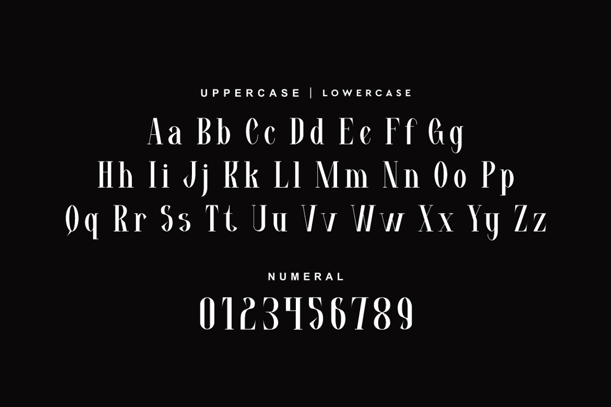 Makenlla - Elegant Fashion Font, a Serif Font by QR Design Studio (Photo 7 of 12)