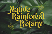 Broone Font, a Serif Font by Asenbayu (Thumbnail 2 of 13)