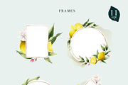 Watercolor vector lemons collection, a Healthcare Illustration by kaer_shop (Thumbnail 5 of 8)