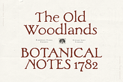 Woodlands - Vintage Hand-painted, a Serif Font by Harmonais Visual (Thumbnail 1 of 23)