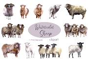 Watercolor Clipart. Sheep clipart, an Animal Illustration by KomtsyanTatyanaArt (Thumbnail 1 of 4)