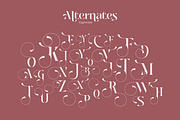 Losta Parka - DecorativeStencil Font, a Sans Serif Font by creativemedialab (Thumbnail 11 of 13)