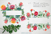 Watercolor Protea set, a Decorative Illustration by annasokol_ (Thumbnail 3 of 8)