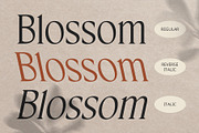CS Chisa – Elegant Font, a Serif Font by Craft Supply Co. (Thumbnail 3 of 8)