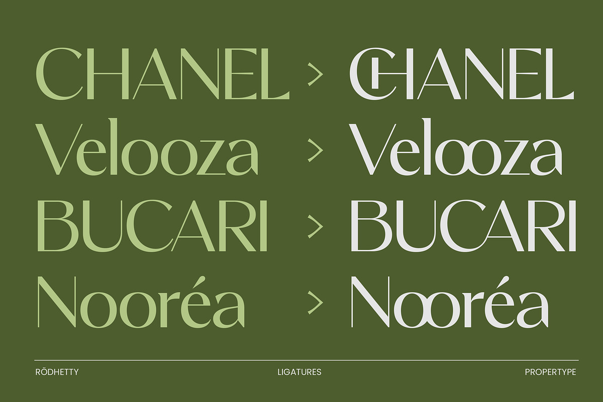 Rodhetty, a Sans Serif Font by Propertype (Photo 10 of 16)