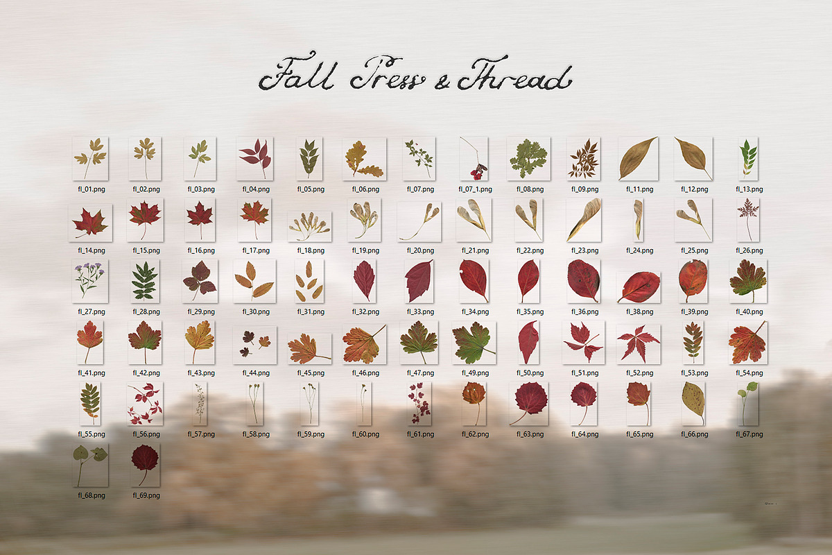 Fall Press & Thread - Collage Kit, an Object Graphic by Watercolor_Ma (Photo 6 of 10)