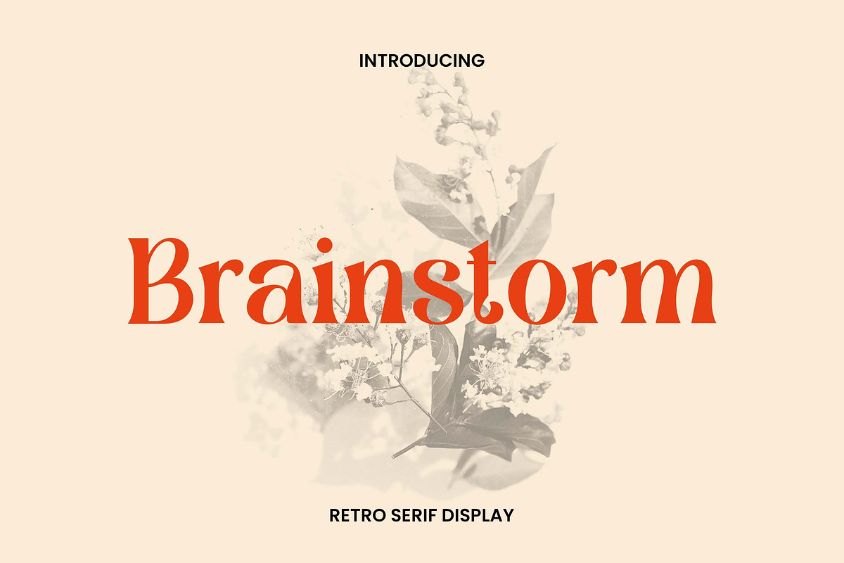Brainstorm Retro Serif Display Font, a Serif Font by UICreative (Photo 1 of 13)