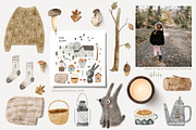 2 SEASONS | 324 elements, an Animal Illustration by Oksana Stepova (Thumbnail 2 of 17)