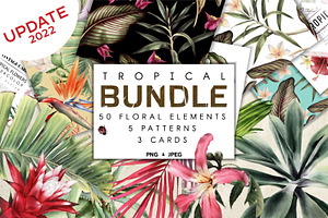 UPDATE - Tropical Bundle & Flamingo