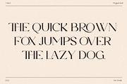 The Cartel - Elegant Serif Font, a Serif Font by Say Studio (Thumbnail 16 of 19)