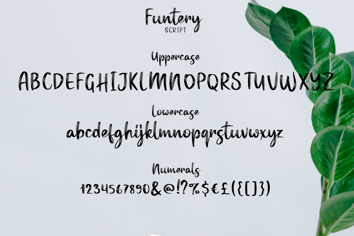 Funtery, a Script Font by Larin Type Co. (Photo 9 of 10)