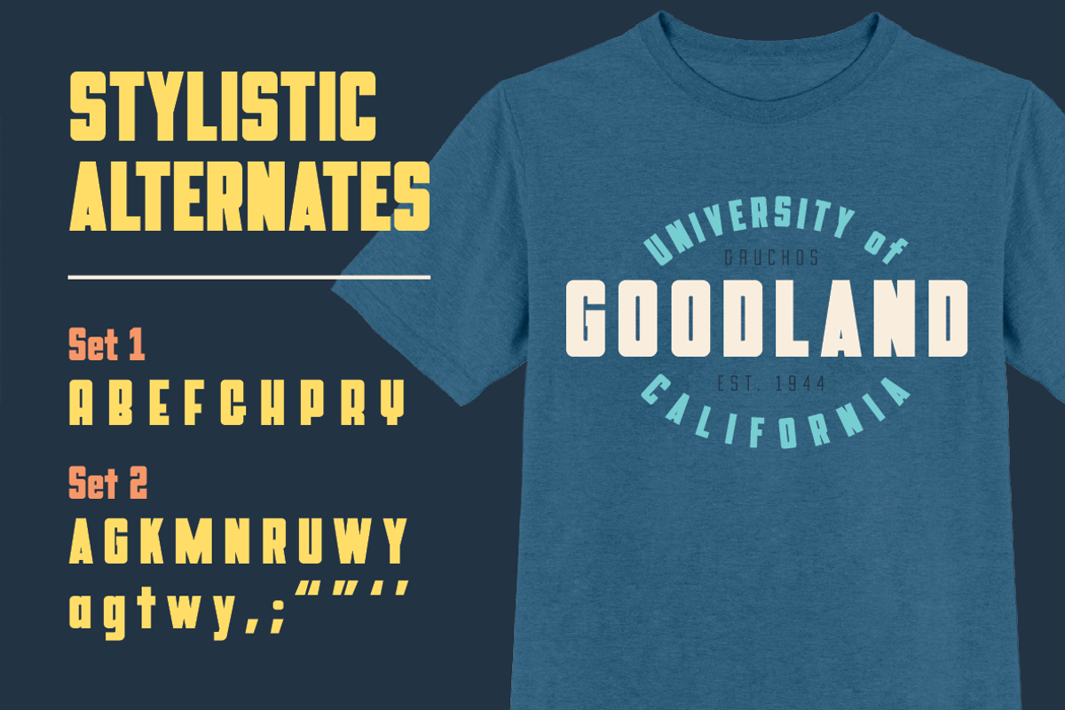 Goodland Condensed Display fonts, a Sans Serif Font by Swell Type (Photo 6 of 6)