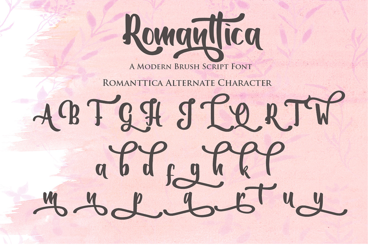 Romanttica-Lovely Brush Script Font, a Script Font by Dm Studio (Photo 10 of 12)