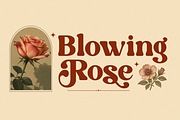 Retro Serif Font - Happy Sunday, a Serif Font by Font Liner (Thumbnail 6 of 9)