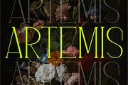 Artemis - An Elegant Serif, a Serif Font by Like Magic Studio (Thumbnail 1 of 11)