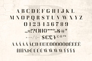 DAENERYS Serif and Script Font Duo, a Serif Font by Anna Zakharchenko (Thumbnail 7 of 9)