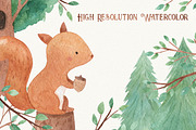 Woodland Animals Watercolor Clipart, an Animal Illustration by LeMagiqueBoutique (Thumbnail 4 of 5)