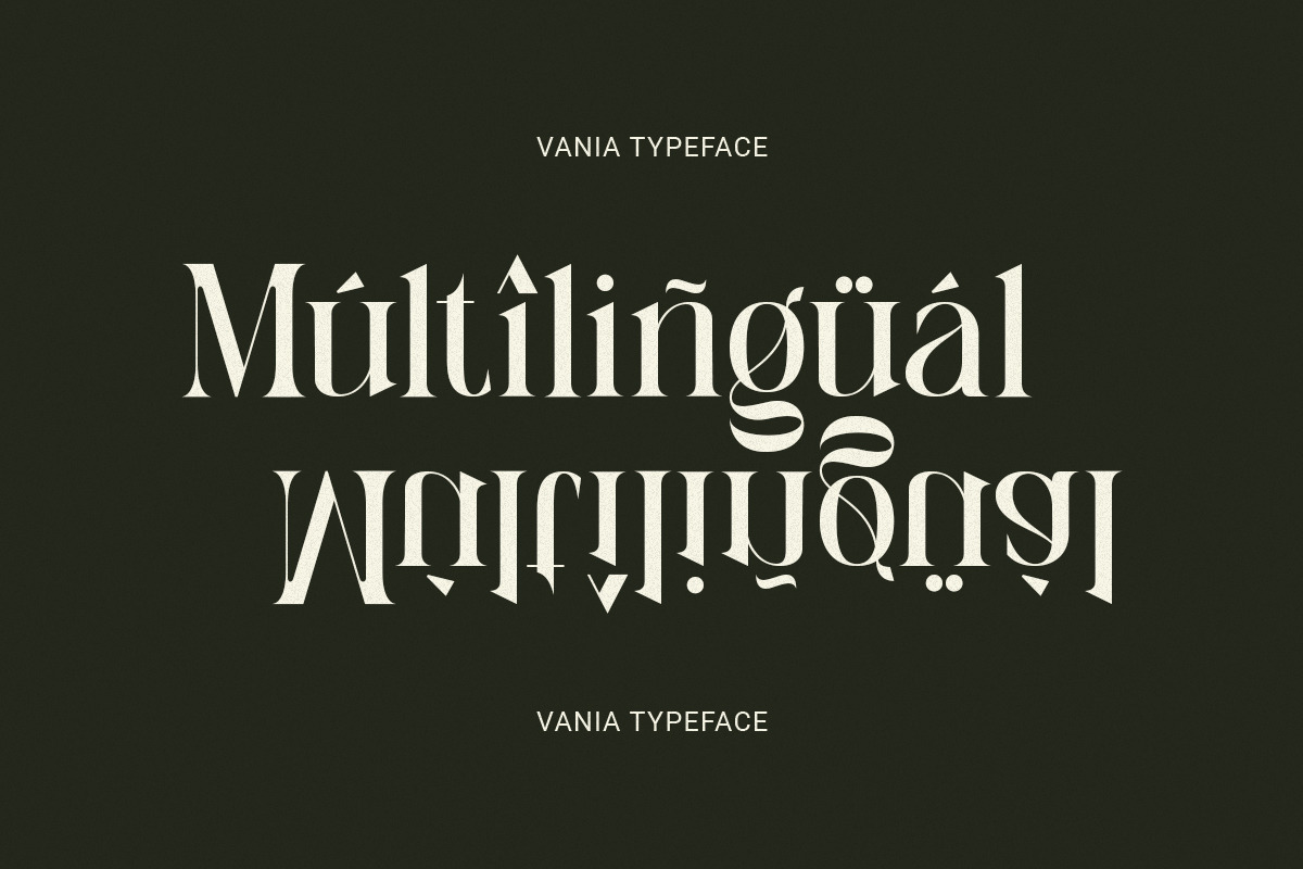 Vania - Elegant Branding Typeface, a Serif Font by Sohel Studio (Photo 9 of 11)