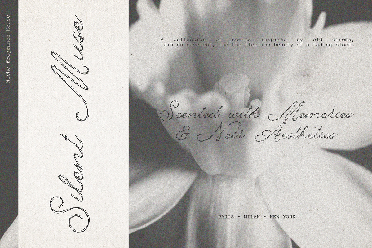 Something Else Textured Script, a Script Font by AnMark (Photo 3 of 10)