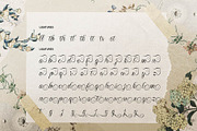 Rustaliya | Classic Elegant Script, a Script Font by gracetype_studio (Thumbnail 11 of 11)