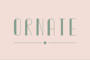 Typeface bundle | 56 Font Styles, a Sans Serif Font by MikeHill (Thumbnail 12 of 20)