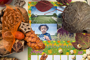 Autumn Props & Mock Ups, a Product Mockup by JSquarePresents (Thumbnail 8 of 11)