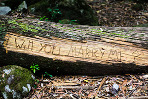 "Will You Marry Me?" Log
