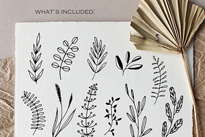 51 Line Art Botanical Illustrations