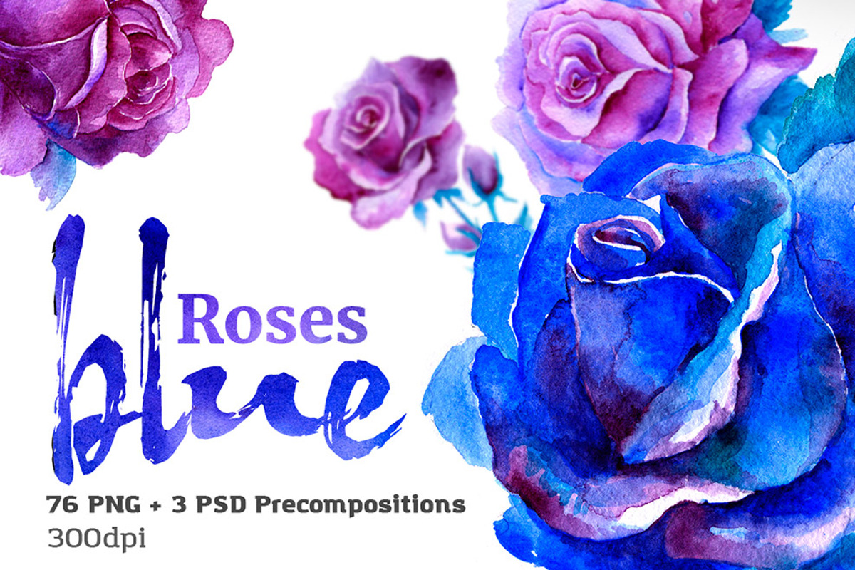 Blue Roses Watercolor Set, an Illustration by denisespinoza (Photo 1 of 5)