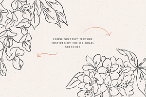 Floral Sketchbook Vectors