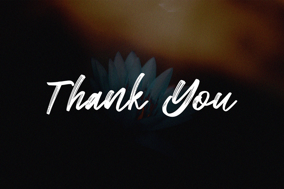 Moulidya Brush Script Font, a Script Font by NTC Graphic (Photo 7 of 7)