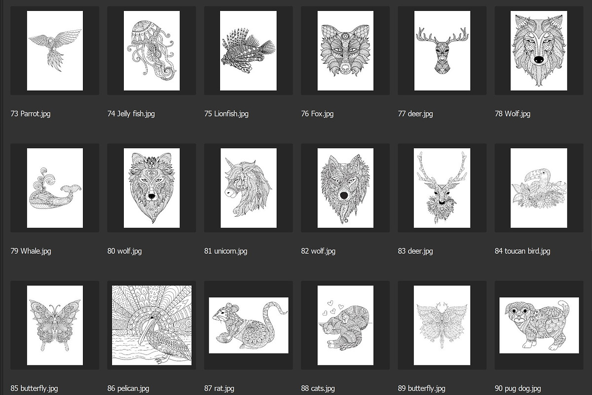150 animals for adult coloring book, an Animal Illustration by Somjai King (Photo 6 of 10)