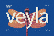 Veyla — Fashion-Edged Display Poise