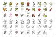 Herbs & Spices Hand-drawn Food Icons, an Icon by insemar (Thumbnail 2 of 3)