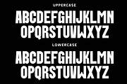 Pollard - A Modern Condensed, a Sans Serif Font by Marvadesign (Thumbnail 2 of 7)