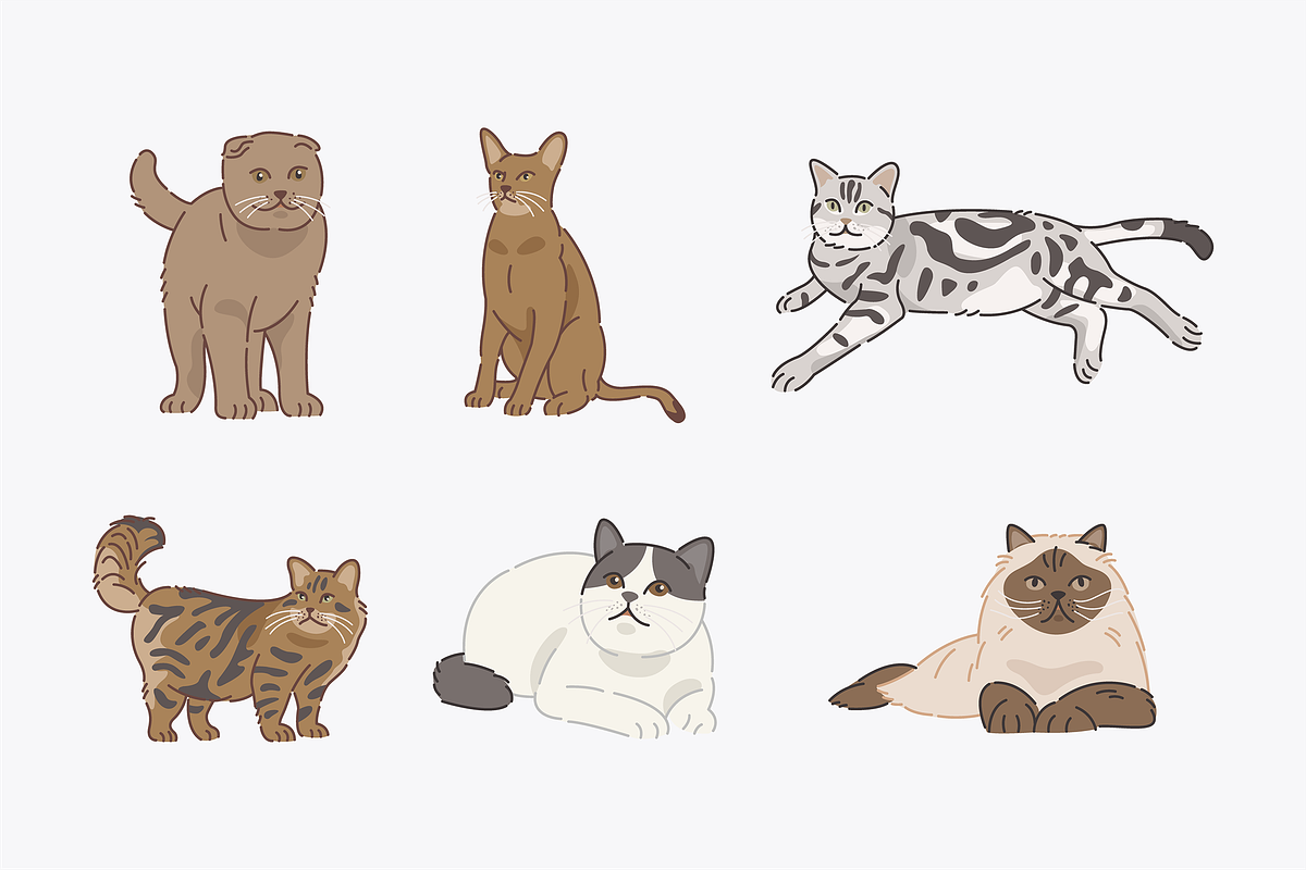 Cute Animals Bundle, an Object Graphic by Jump Studio (Photo 17 of 20)
