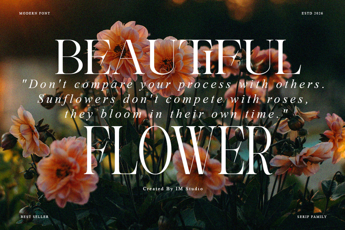 Theron Enroma | 17 Font Style, a Serif Font by IM Studio (Photo 5 of 9)