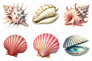 Watercolor Seashells Clipart, an Illustration by DreamPrint404 (Thumbnail 2 of 6)