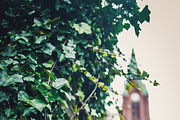 LIGHTROOM PRESETS - travel lifestyle, an Action Add-On by Graphics, Presets, Photos (Thumbnail 30 of 67)