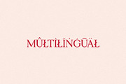PINK LEMONADE - Elegant Serif, a Serif Font by Schrifted Type (Thumbnail 8 of 8)