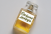 Bellania | handwritten font, a Script Font by Scratchones (Thumbnail 4 of 11)