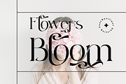 Resilient Shifting - Elegant Font, a Serif Font by 177Studio (Thumbnail 2 of 8)