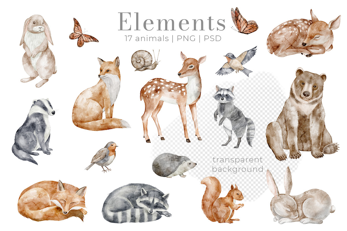 Woodland Animals Watercolor Clipart, an Illustration by Alisles (Photo 4 of 18)